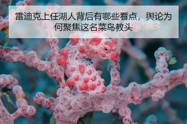 lei-di-ke-shang-ren-hu-ren-bei-hou-you-na-xie-kan-dian-yu-lun-wei-he-ju-jiao-zhe-ming-cai-niao-jiao-tou-2-923.jpg